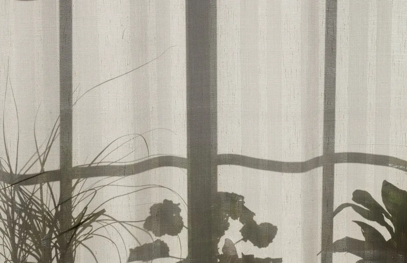 The shadow of a window frame and plants falling on a linen curtain