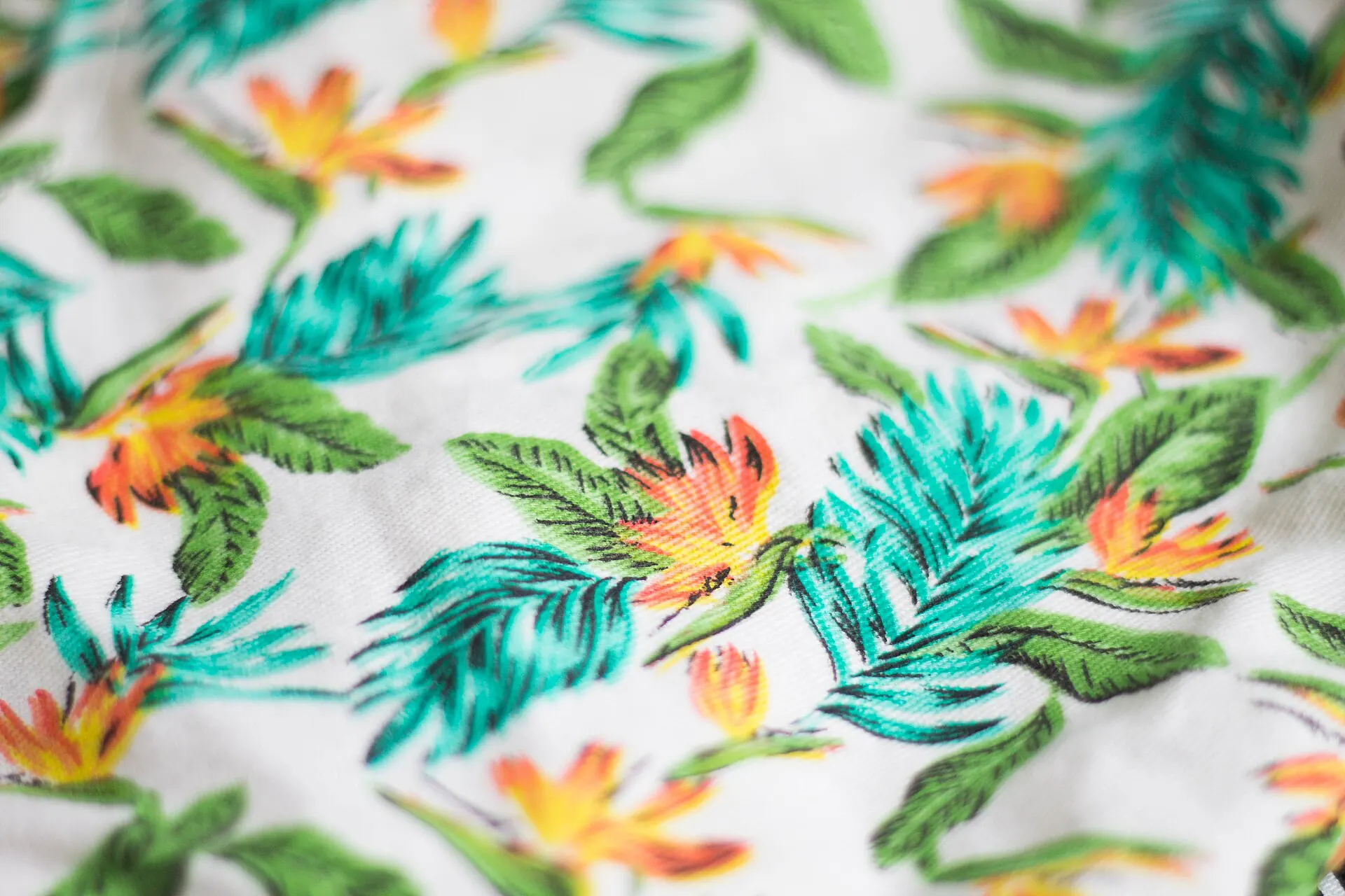 A white cotton fabric printed with tropical birds of paradise and leaves